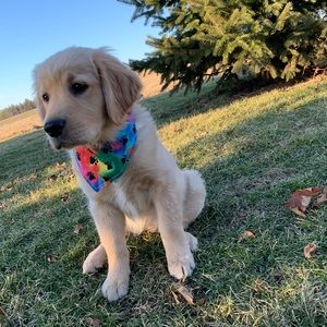 Meet your Posher, Jillian